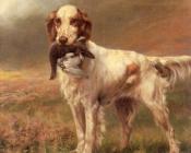 托马斯 布林克斯 : English Setter